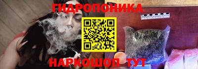 прущие грибы Малгобек
