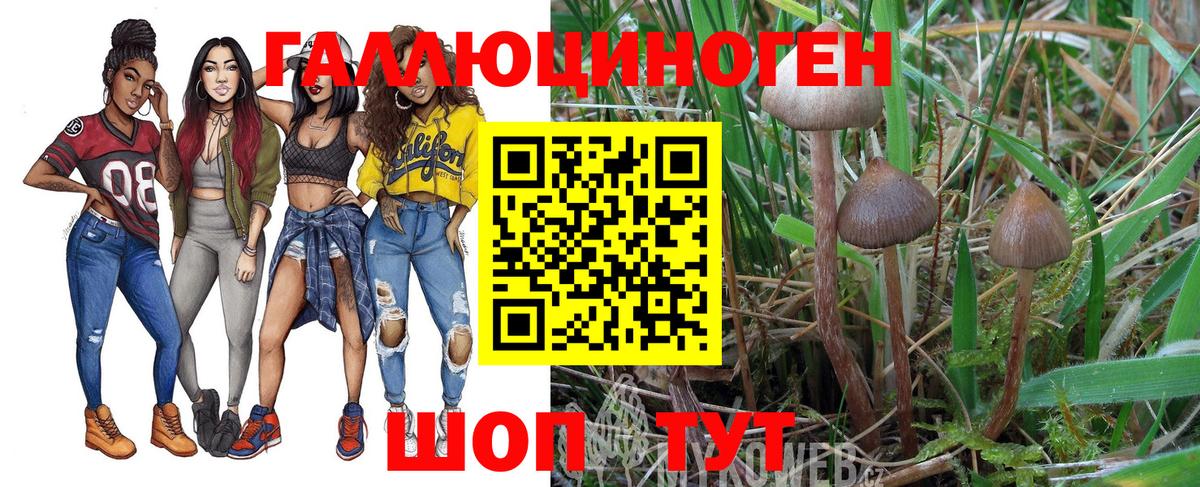 Ялуторовск  Псилоцибиновые грибы Cubensis  Вход с VPN 